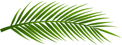 leaf-divider image